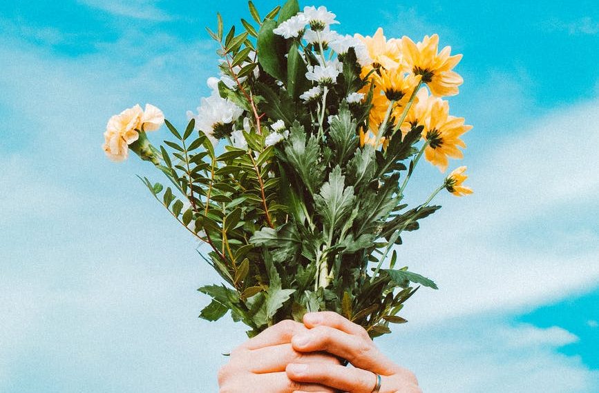 person holding yellow and white flowers